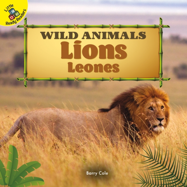 Lions : Leones, EPUB eBook