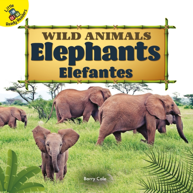 Elephants : Elefantes, EPUB eBook