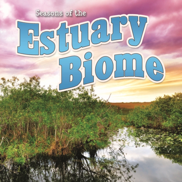 Seasons Of The Estuary Biome, EPUB eBook