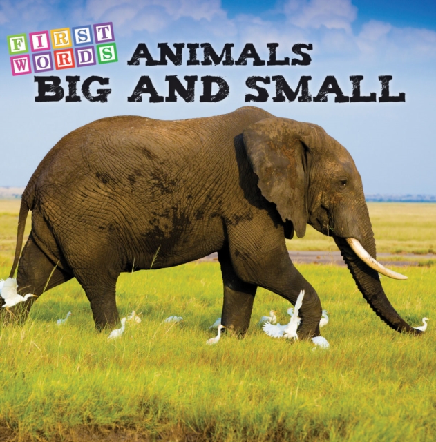Animals Big and Small, EPUB eBook