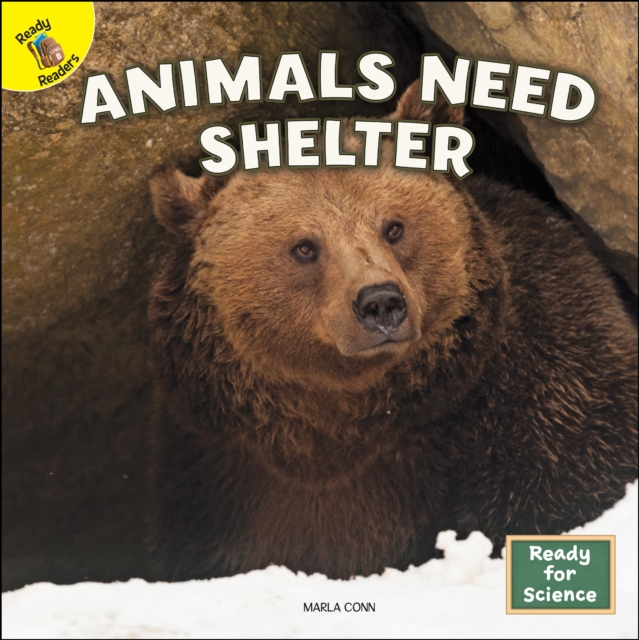 Animals Need Shelter, EPUB eBook