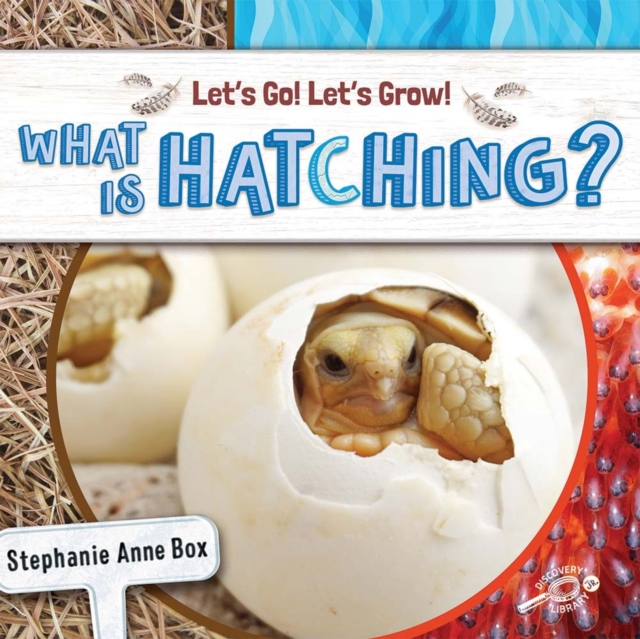 What Is Hatching?, EPUB eBook