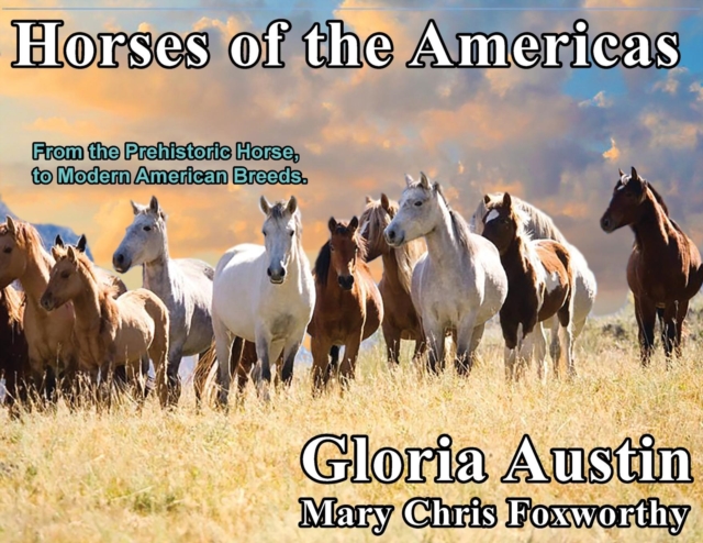 Horses of the Americas : From the Prehistoric Horse to Modern American Breeds., Paperback / softback Book