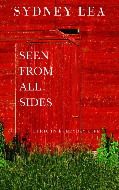 Seen From All Sides : Lyric and Everyday Life, Paperback / softback Book