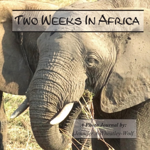 Two Weeks in Africa : A Photo Journal, Paperback / softback Book