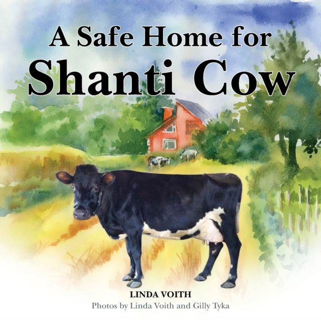 A Safe Home for Shanti Cow, Paperback / softback Book