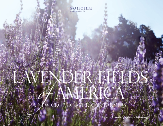 Lavender Fields of America : A New Crop of American Farmers, Paperback / softback Book