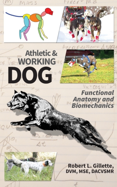 Athletic and Working Dog : Functional Anatomy and Biomechanics, Hardback Book