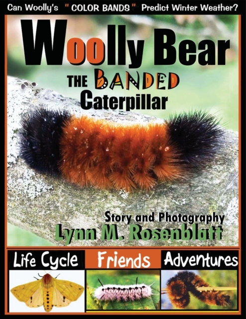 Woolly Bear the Banded Caterpillar : Life Cycle, Friends and Adventures, Paperback / softback Book