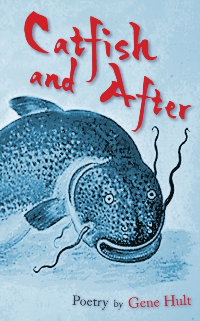 Catfish and After, Paperback / softback Book