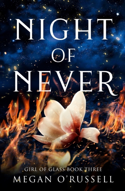 Night of Never, Paperback / softback Book