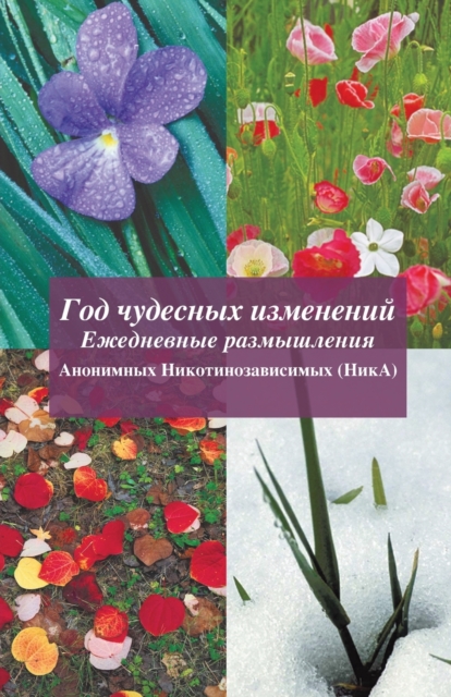 &#1043;&#1086;&#1076; &#1095;&#1091;&#1076;&#1077;&#1089;&#1085;&#1099;&#1093; &#1080;&#1079;&#1084;&#1077;&#1085;&#1077;&#1085;&#1080;&#1081; : A Year of Miracles (Russian Translation), Paperback / softback Book