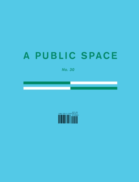 A Public Space No. 30, EPUB eBook
