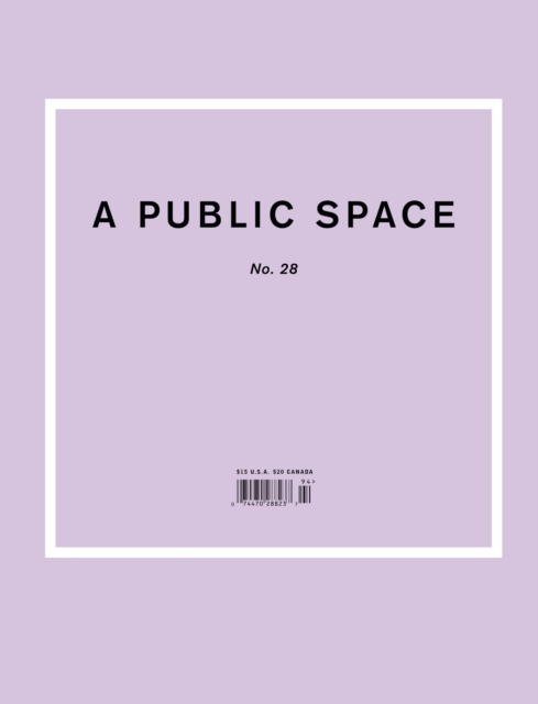 A Public Space No. 28, EPUB eBook