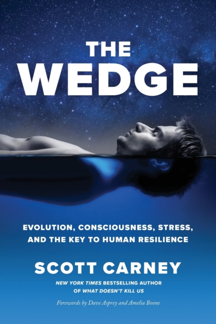 The Wedge : Evolution, Consciousness, Stress, and the Key to Human Resilience, Paperback / softback Book