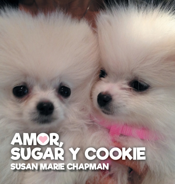 Amor, Sugar y Cookie, Hardback Book