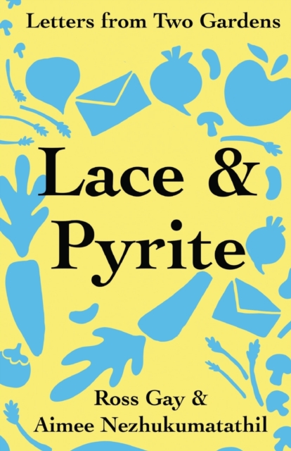 Lace & Pyrite : Letters from Two Gardens, Paperback / softback Book