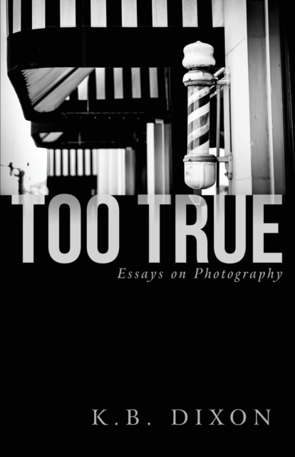 Too True : Essays on Photography, Paperback / softback Book