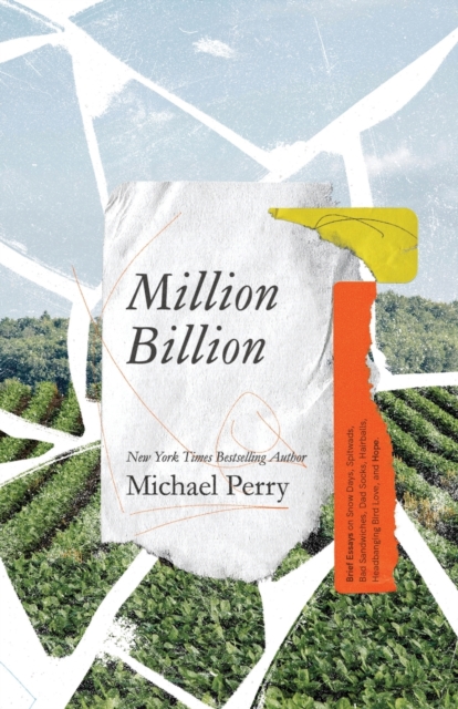 Million Billion : Brief Essays on Snow Days, Spitwads, Bad Sandwiches, Dad Socks, Hairballs, Headbanging Bird Love, and Hope., Paperback / softback Book