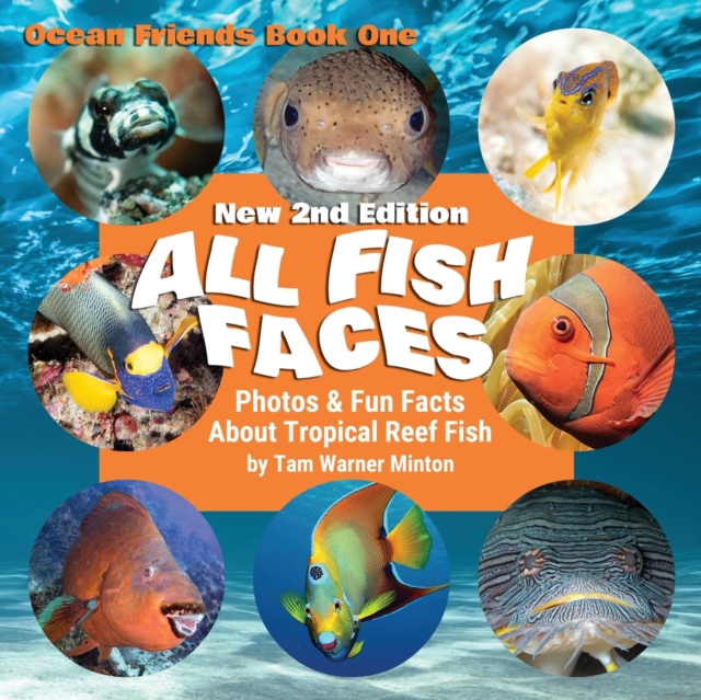 All Fish Faces : Photos and Fun Facts about Tropical Reef Fish, Paperback / softback Book
