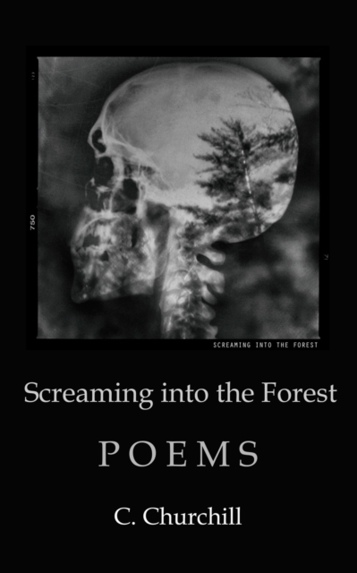 Screaming Into the Forest, Paperback / softback Book