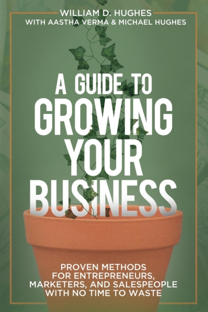A Guide to Growing Your Business, Paperback / softback Book