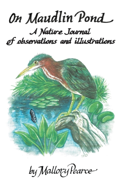 On Maudlin Pond : A Nature Journal of Observations and Illustrations, Paperback / softback Book