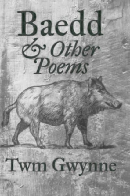 Baedd and Other Poems, Paperback / softback Book