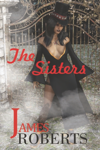 The Sisters : Something Is Sinister At That Place, Paperback / softback Book