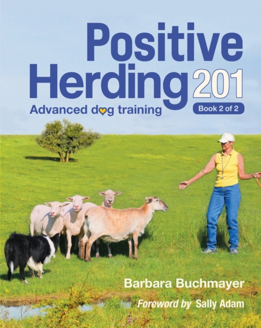 Positive Herding 201, Paperback / softback Book