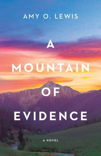 A Mountain of Evidence, Paperback / softback Book