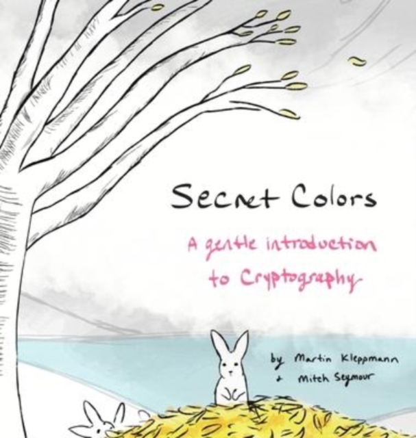 Secret Colors, Hardback Book