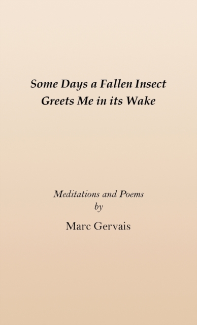 Some Days a Fallen Insect Greets Me in its Wake : Meditations and Poems, Paperback / softback Book