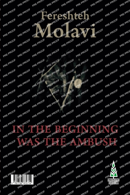 In the Beginning Was the Ambush, Paperback / softback Book