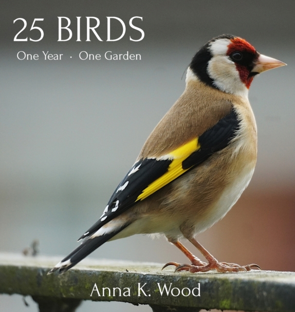 25 Birds, Hardback Book