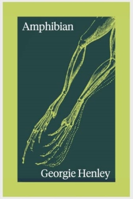 Amphibian, Paperback / softback Book