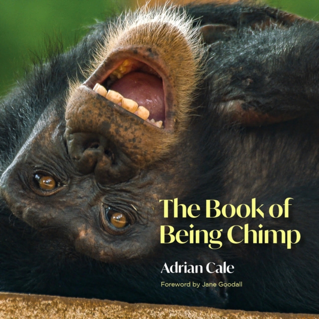 The Book of Being Chimp, Hardback Book