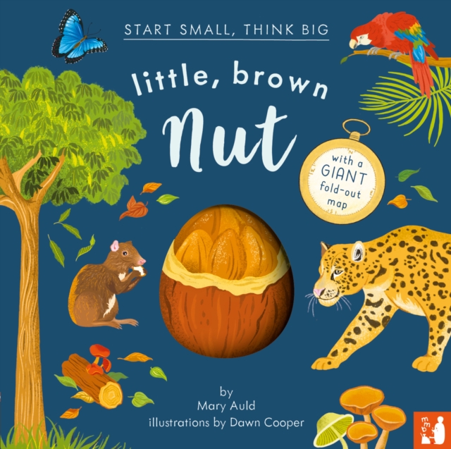 Little, Brown Nut : A fact-filled picture book about the life cycle of the Brazil nut tree, with fold-out map of the Amazon rainforest (ages 4-8), Hardback Book