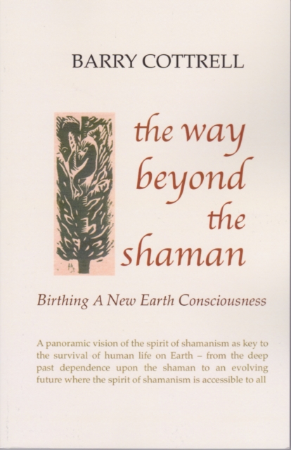 The Way Beyond The Shaman : Birthing A New Earth Consciousness, Paperback / softback Book