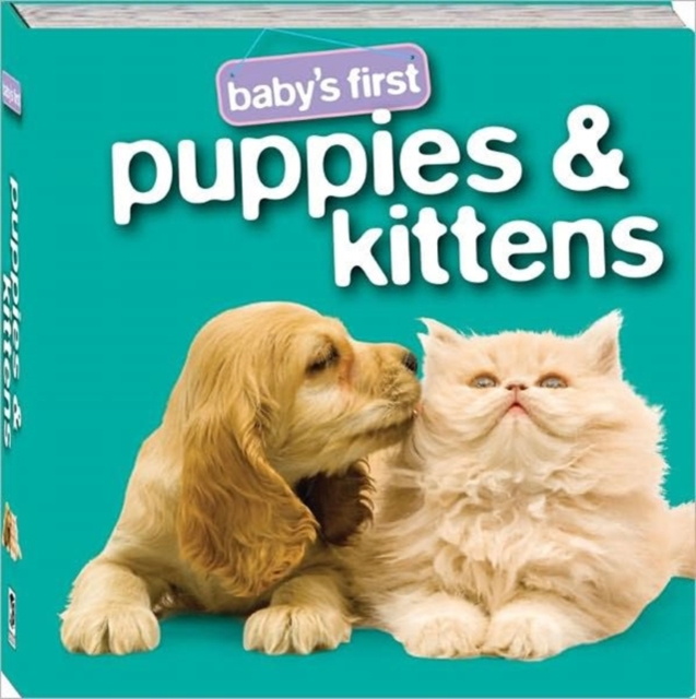 Puppies and Kittens, Board book Book