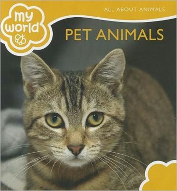 Pet Animals, Hardback Book