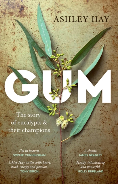 Gum : The story of eucalypts & their champions, Paperback / softback Book