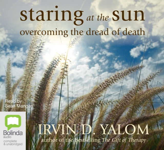 Staring at the Sun, CD-Audio Book