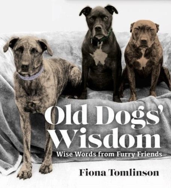 Old Dogs' Wisom, Paperback / softback Book