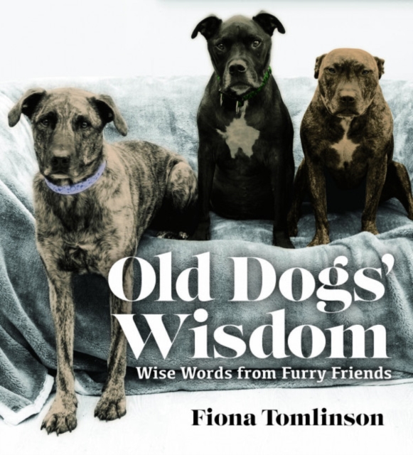 Old Dog Wisdom, Hardback Book