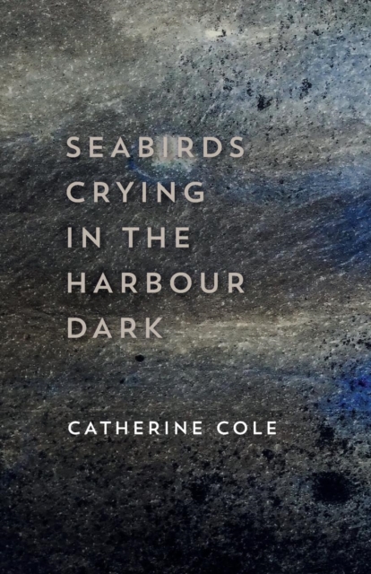 Seabirds Crying in the Harbour Dark, Paperback / softback Book