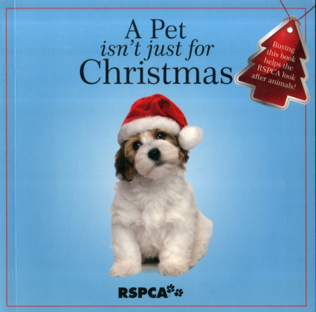 A Pet Isn't Just for Christmas, Paperback / softback Book