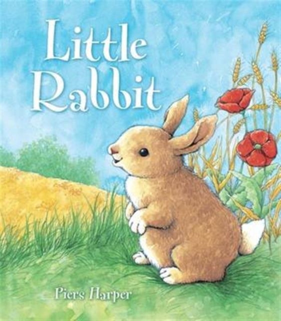 Little Rabbit, Paperback / softback Book