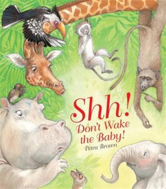 Shh! Don't Wake the Baby, Paperback / softback Book
