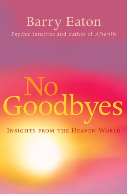 No Goodbyes : Insights From the Heaven World, Paperback / softback Book